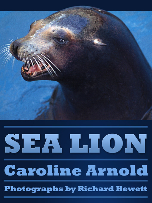 Title details for Sea Lion by Caroline Arnold - Available